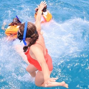 Meet your Posher, Molly